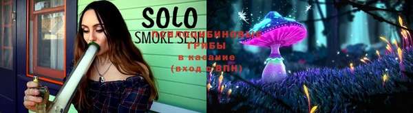 ГАЛЛЮЦИНОГЕННЫЕ ГРИБЫ Аркадак