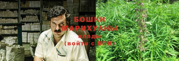 ГАЛЛЮЦИНОГЕННЫЕ ГРИБЫ Аркадак