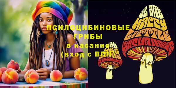ГАЛЛЮЦИНОГЕННЫЕ ГРИБЫ Аркадак